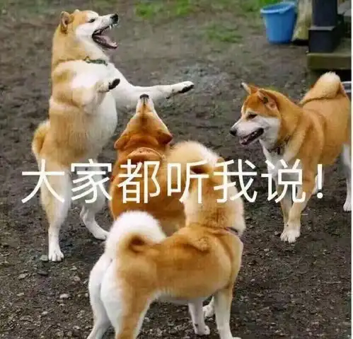  p站二次元美图,有爱自取第二十一期本子真是个好东西