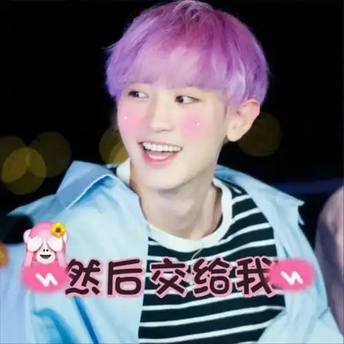  朴灿烈表情包可以,这很强势