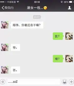  我看到一个朋友发了信息,然后下面截图内容怎么看都不明白求高手