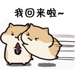  仓鼠掉瓜子高清系列微信qq表情包
