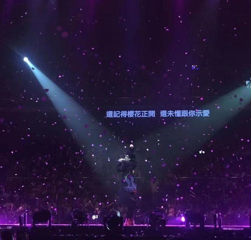  追星女孩专用文案