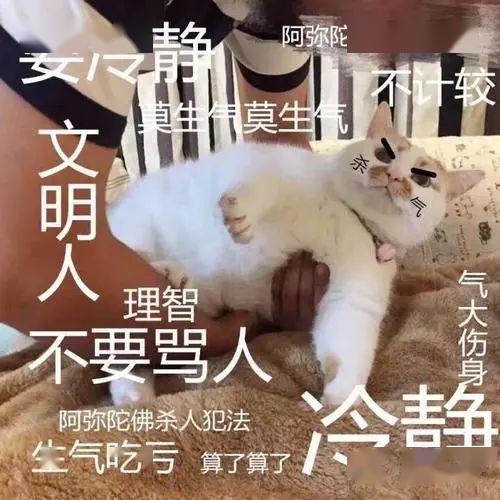  和养狗的朋友说这些话前,请三思