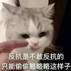 感谢表情包小图