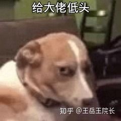  流水的nlp铁打的ner命名实体识别实践与探索