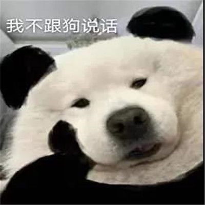  给钱吗狗狗托腮表情包万能回复的聊天表情