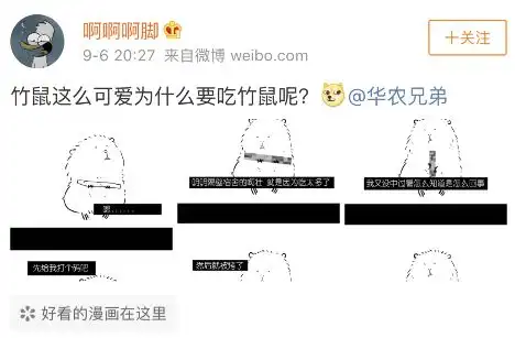 笑到泪奔竹鼠表情包窜上热搜吃它有一百种理由漂亮抑郁中暑