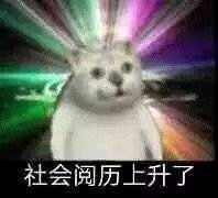  目前b站30个mur猫专栏里面的表情包整合以及其他mur表情