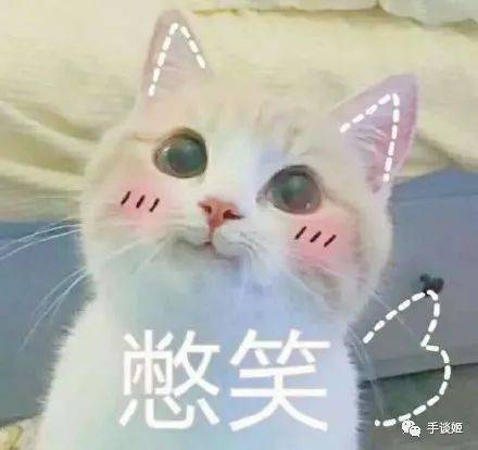委屈猫表情包大全略略略