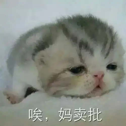  既然2017年还剩两个月就结束惹,那就一定要参加一场新东方宣讲会