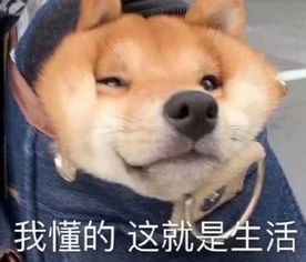  气象明天降温剧烈厚衣服准备好了吗