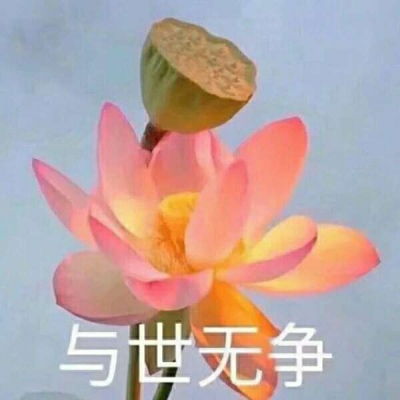  君兮染安度晚年