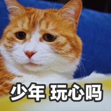  沙雕文案重出江湖
