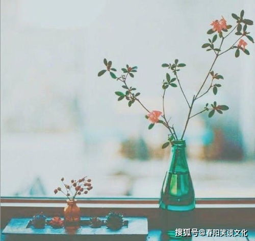  一句话经典心情语录配图,句句精辟走心