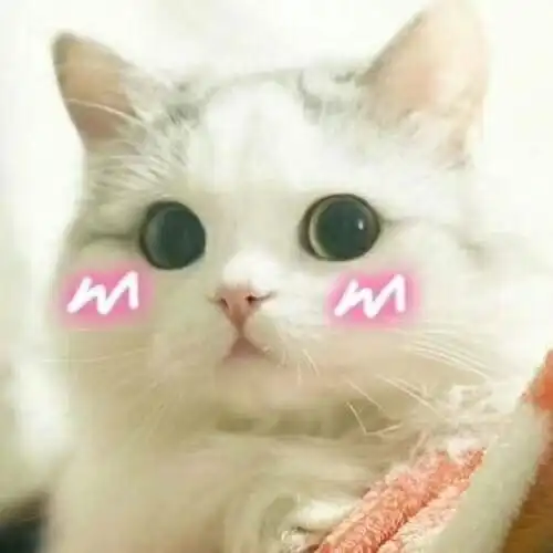  收藏夹
