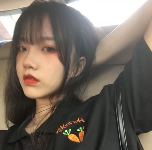  无标题