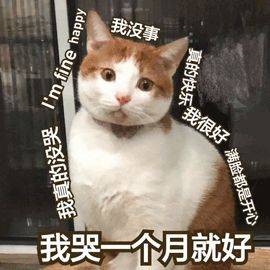  语文老师做的期末考题也没有全对,他们已哭晕在厕所