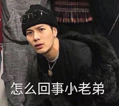  恶搞王嘉尔搞笑表情包