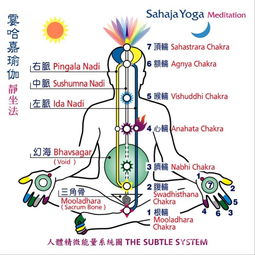  人体七轮