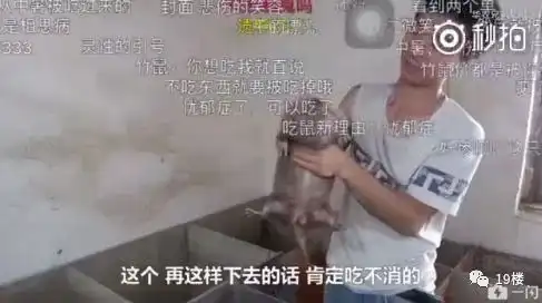  笑到泪奔竹鼠表情包窜上热搜吃它有一百种理由漂亮抑郁中暑