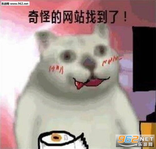  ok我不敢有意见表情包图片奇怪的网站找到了表情包下载乐游网游戏下载