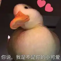 鸭表情包原版保险公司