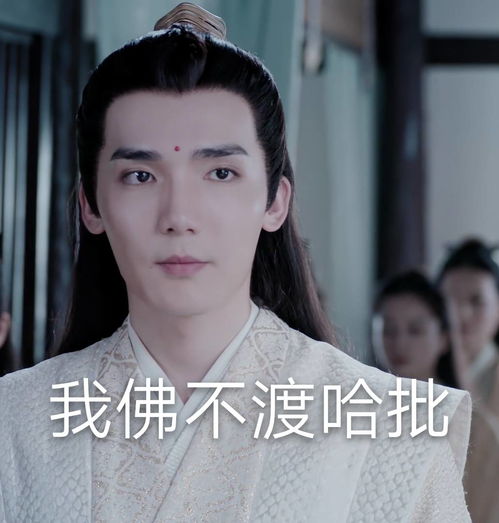 fine表情包陈情令