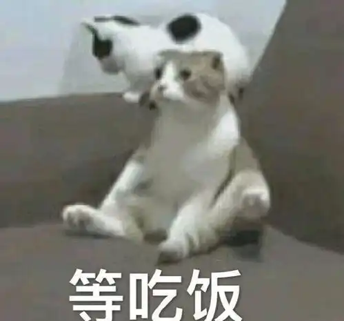  刚刚就看到一位女司机上车,然后就这样了车子也走了