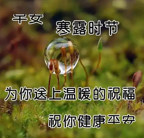  10月8日寒露最漂亮早上好表情图片及早晨好动图美图大全我在等一个陌生人
