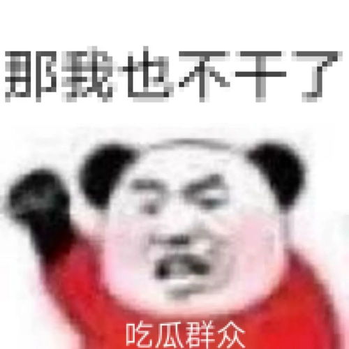  今日计划,啥也不干