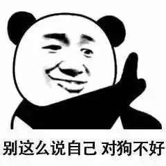  熊猫头表情包i真把自己当人了