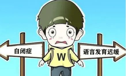  小米熊自闭症康复孩子语言发育迟缓是自闭症的前兆吗