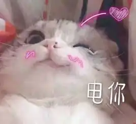  心动2来啦武林绝学杨丞琳的恋爱宝典不看会亏