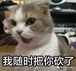  神回复第三期