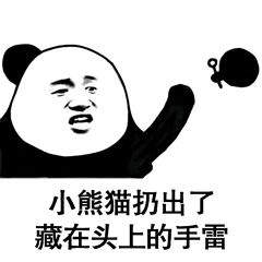  小熊猫梳好了一个丸子头表情包下载小熊猫梳了一个新发型表情包高清无水印极光下载站