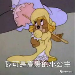 口袋空了没钱了表情包猫