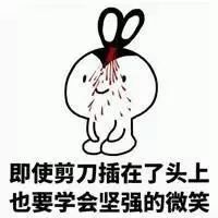  求放过3之后,是288级风两场雨真佩服这里的樱花,狂风中还能美得犯规