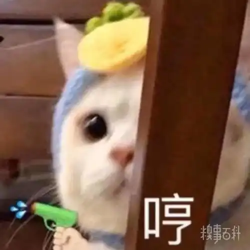  zaker精彩段子