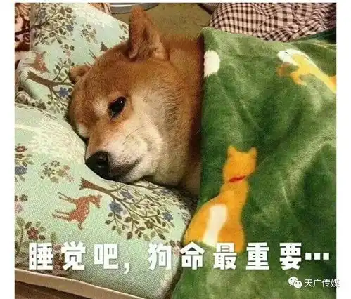  我不信,为什么90后甚至被划入中年阶段
