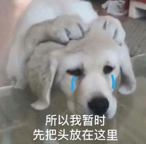  表情包闭上你的茶壶嘴