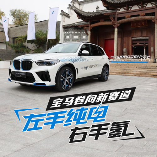  左手纯电右手氢,宝马卷向新赛道