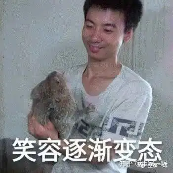 华农兄弟表情包中暑华农