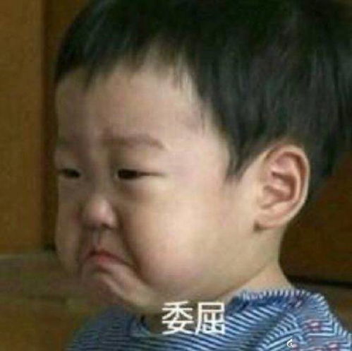  关于委屈的表情包不行,我受不了这委屈
