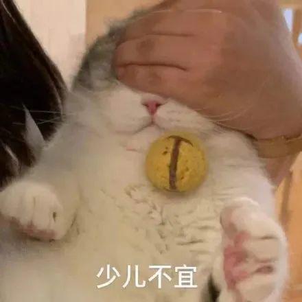  找一个00后奶狗多烧钱他说他的时间是以iphone14为单位的