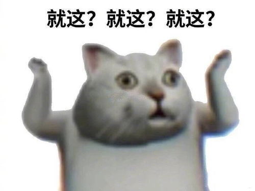  为什么现在饭圈撕逼越来越没营养