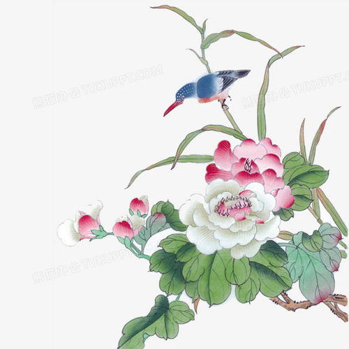  花鸟图png图片素材免费下载png格式14171417像素熊猫办公