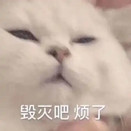  今天被帅哥摸头了