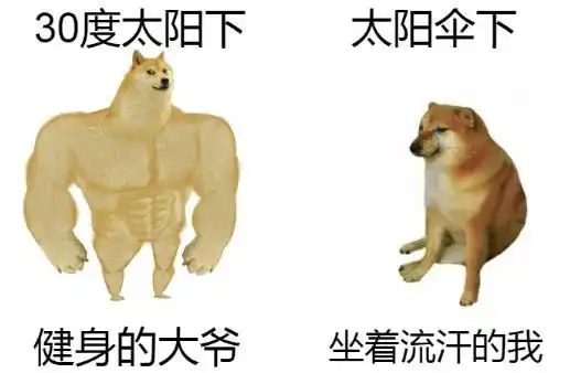  新华公园,成都大爷的野生健身房