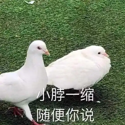  发表情包可以净化首页吗