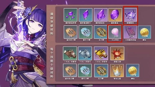  原神萌新为什么5.0最好抽雷电将军配队不难找,强度也适中