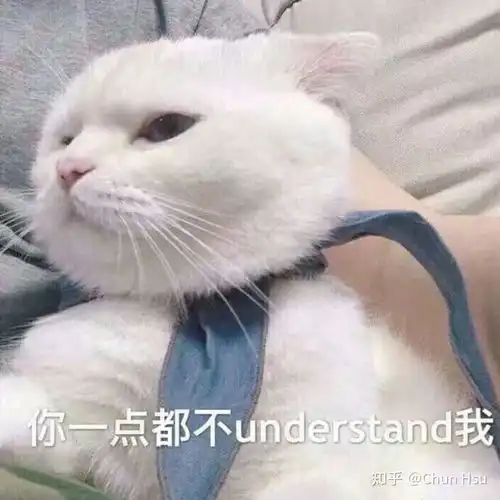 一只白猫旁边一个问号的